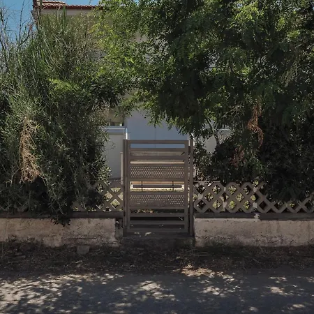 Front Toroni