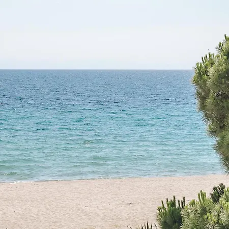 Front * Toroni
