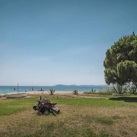 Front * Τορώνη
